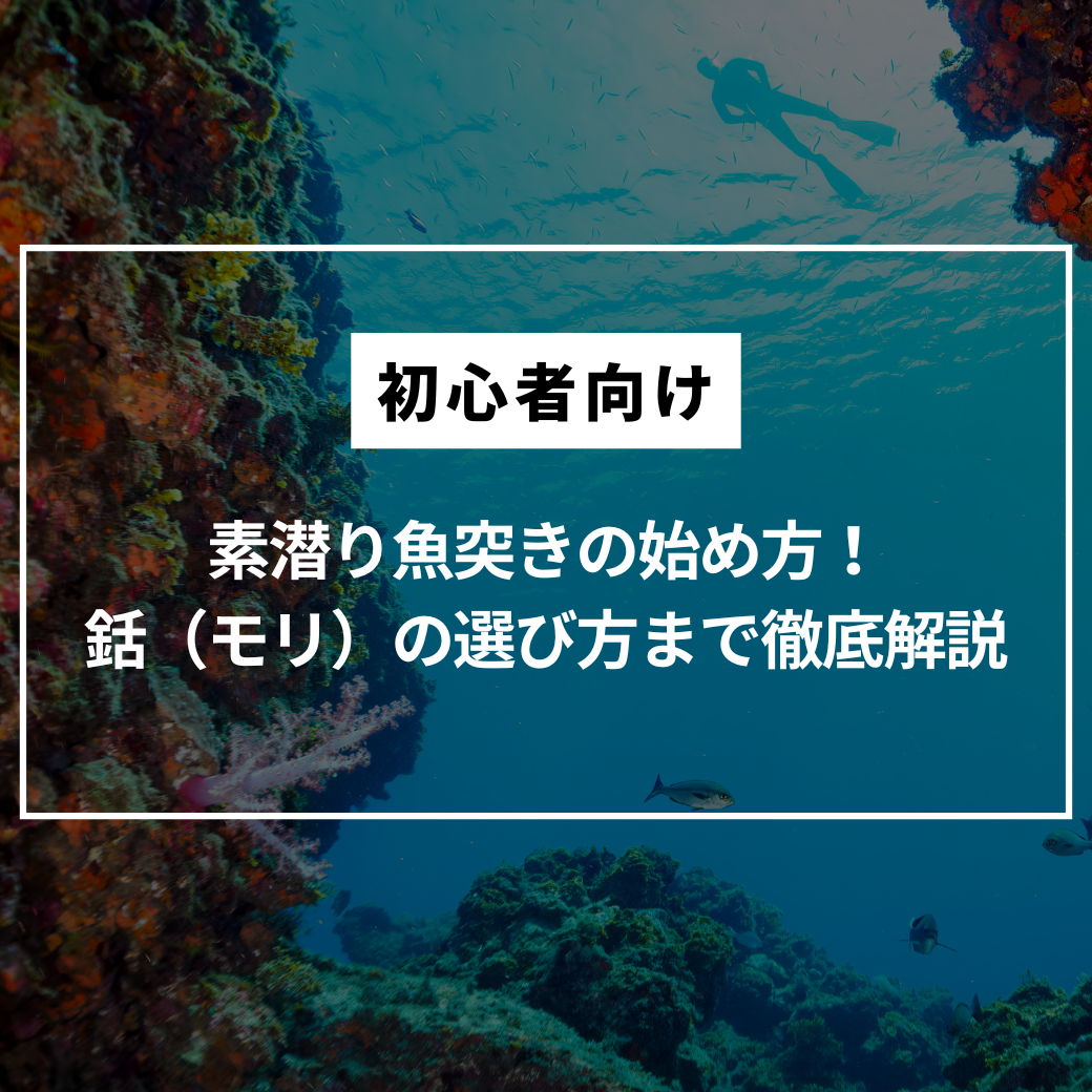 【初心者向け】素潜り魚突きの始め方！規制・場所のルールから失敗しない銛（モリ）の選び方まで徹底解説