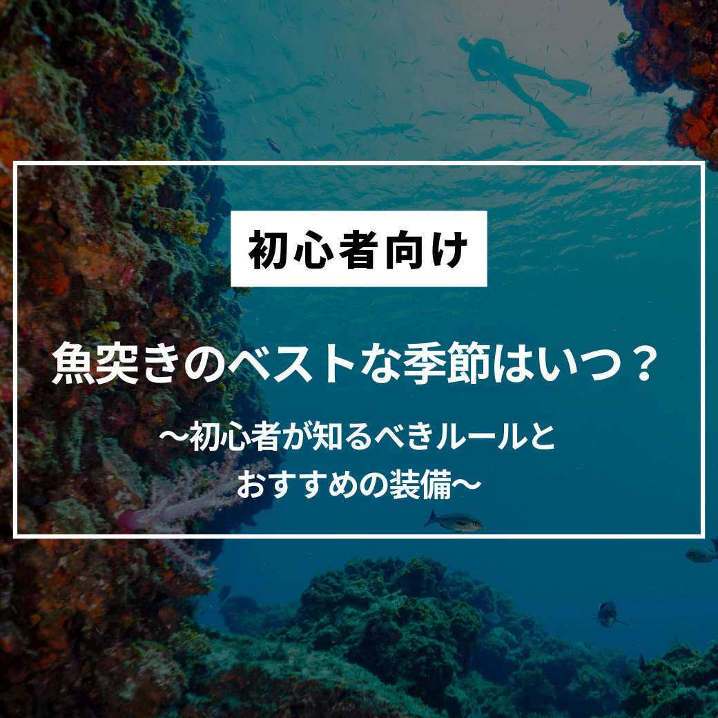 魚突きのベストな季節はいつ？初心者が知るべきルールとおすすめの装備