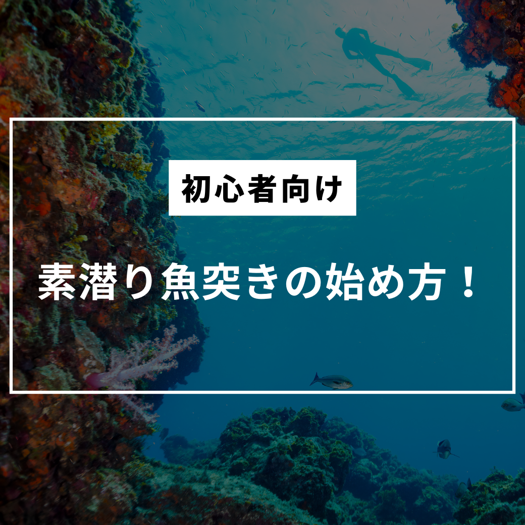 【初心者向け】素潜り魚突きの始め方！規制・場所のルールから失敗しない銛（モリ）の選び方まで徹底解説