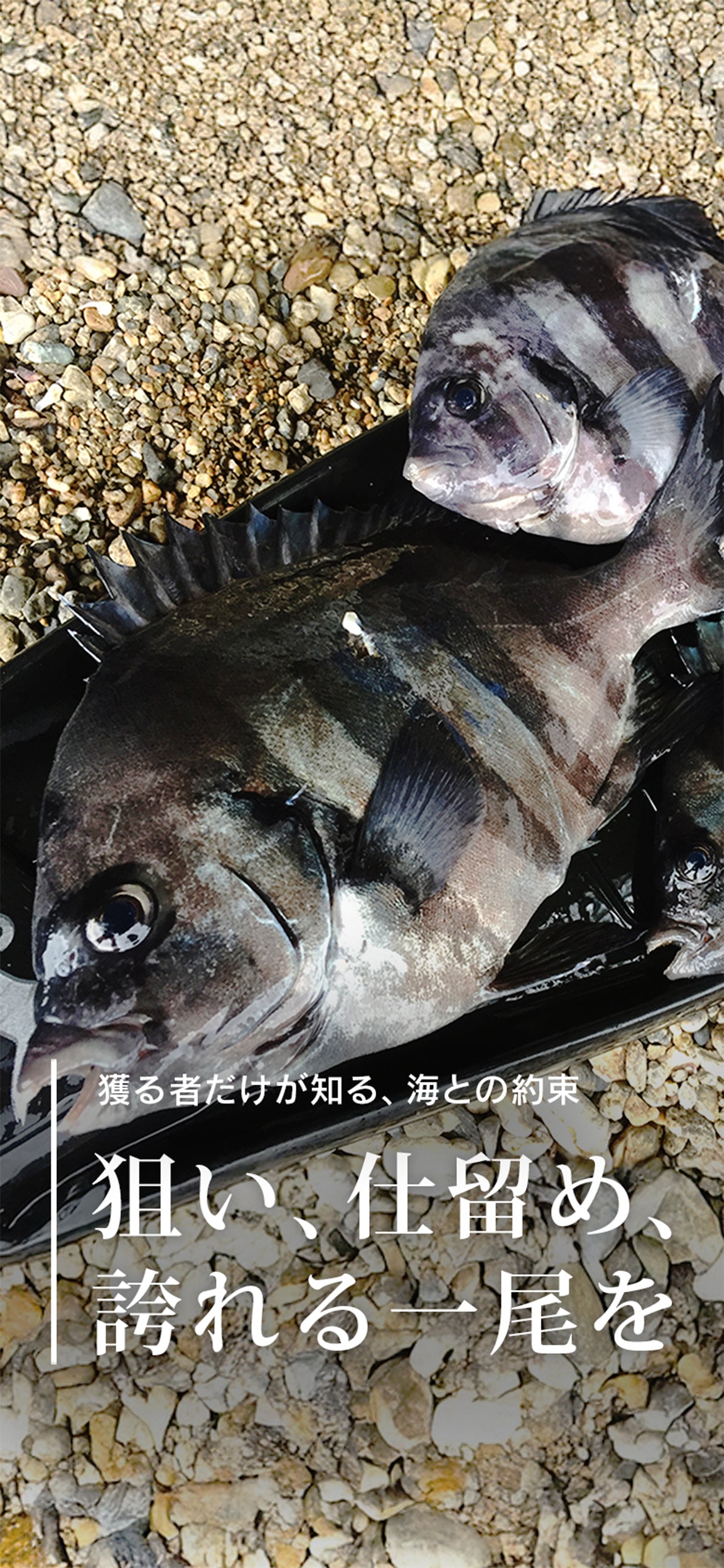 スピアマン｜日本のスピアフィッシング専門店